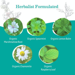 Image of Organic Heartburn Tea