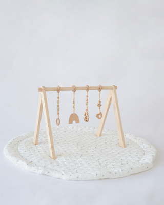 Play Gym Set