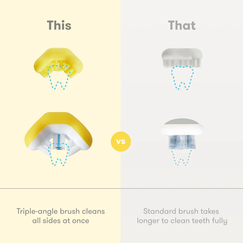 Image of Frida Grow-With-Me Training Toothbrush Set