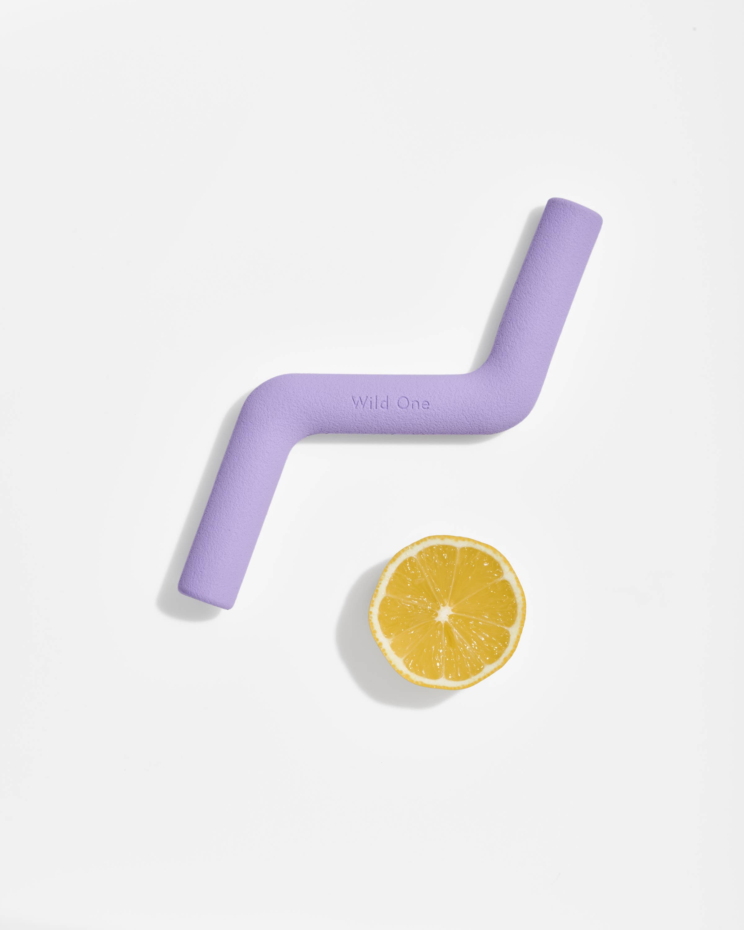 Image of Wild One - Bolt Bite Dog Chew Toy