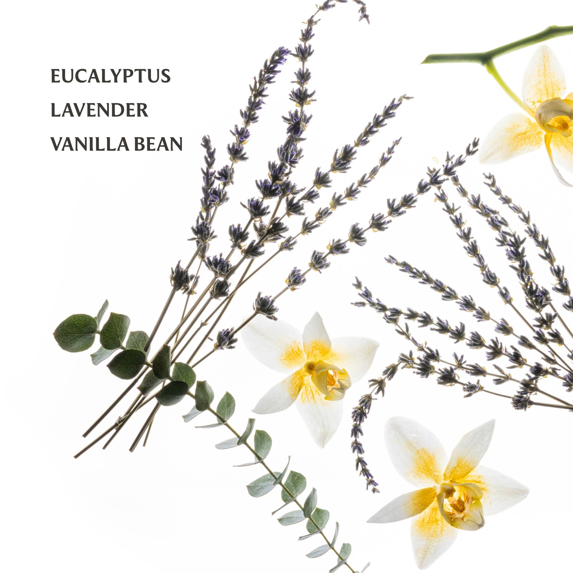 Lavender Mist Hydrating Hand Sanitizer
