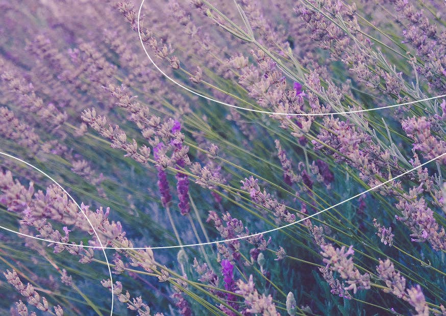 Image of Bare Mum - Gift Packaging