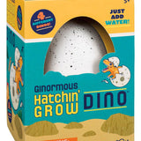 Toysmith - Ginormous Grow Dino Egg, Just Add Water