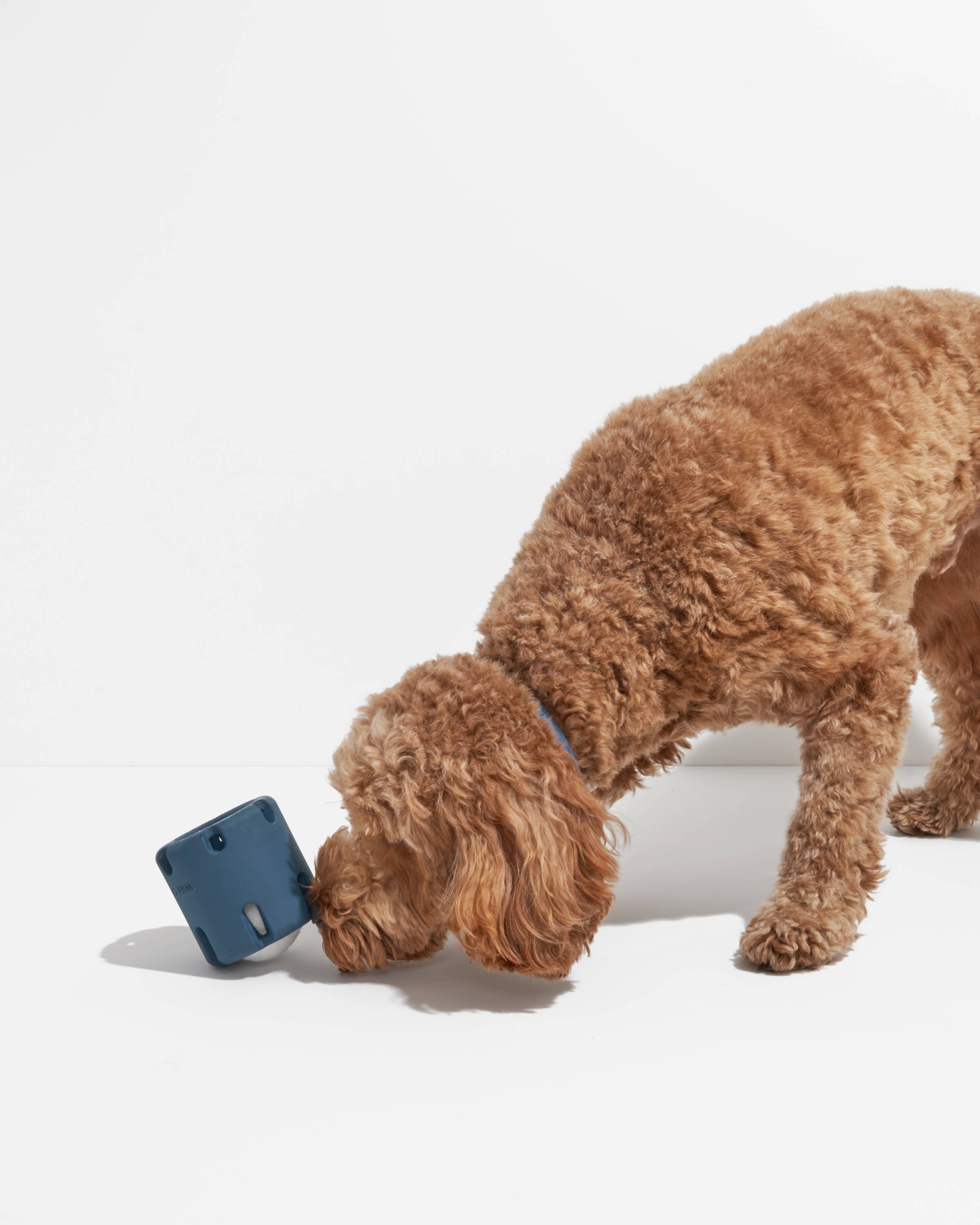 Image of Wild One - Tennis Tumble Interactive Dog Toy