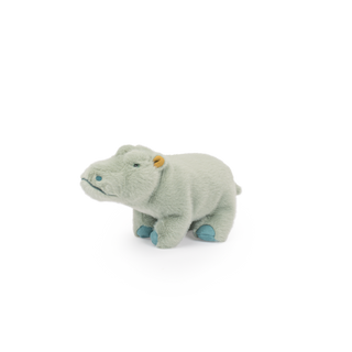 Small Hippopotamus