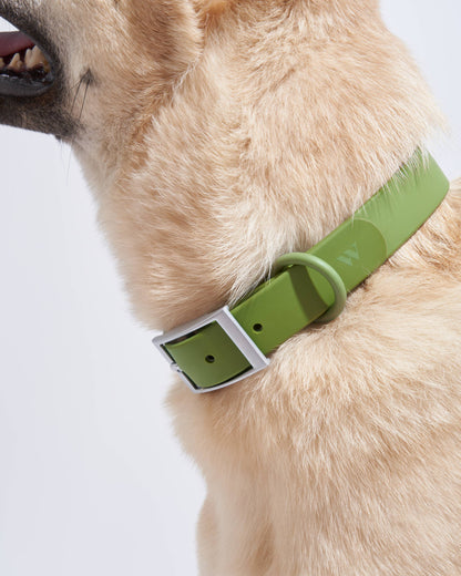 Wild One - Adjustable Waterproof Fashion Dog Collar