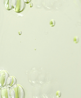 Calming Serum : Green tea + Panthenol Vegan
