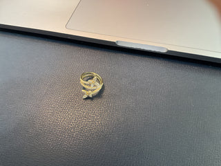 Butterfly spiral ring