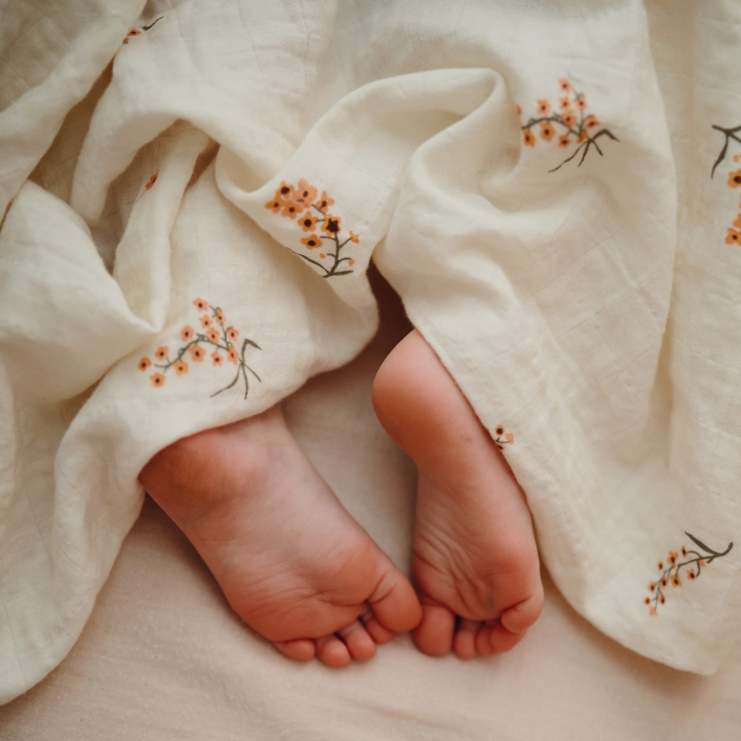 Image of Organic Cotton Muslin Swaddle Blanket