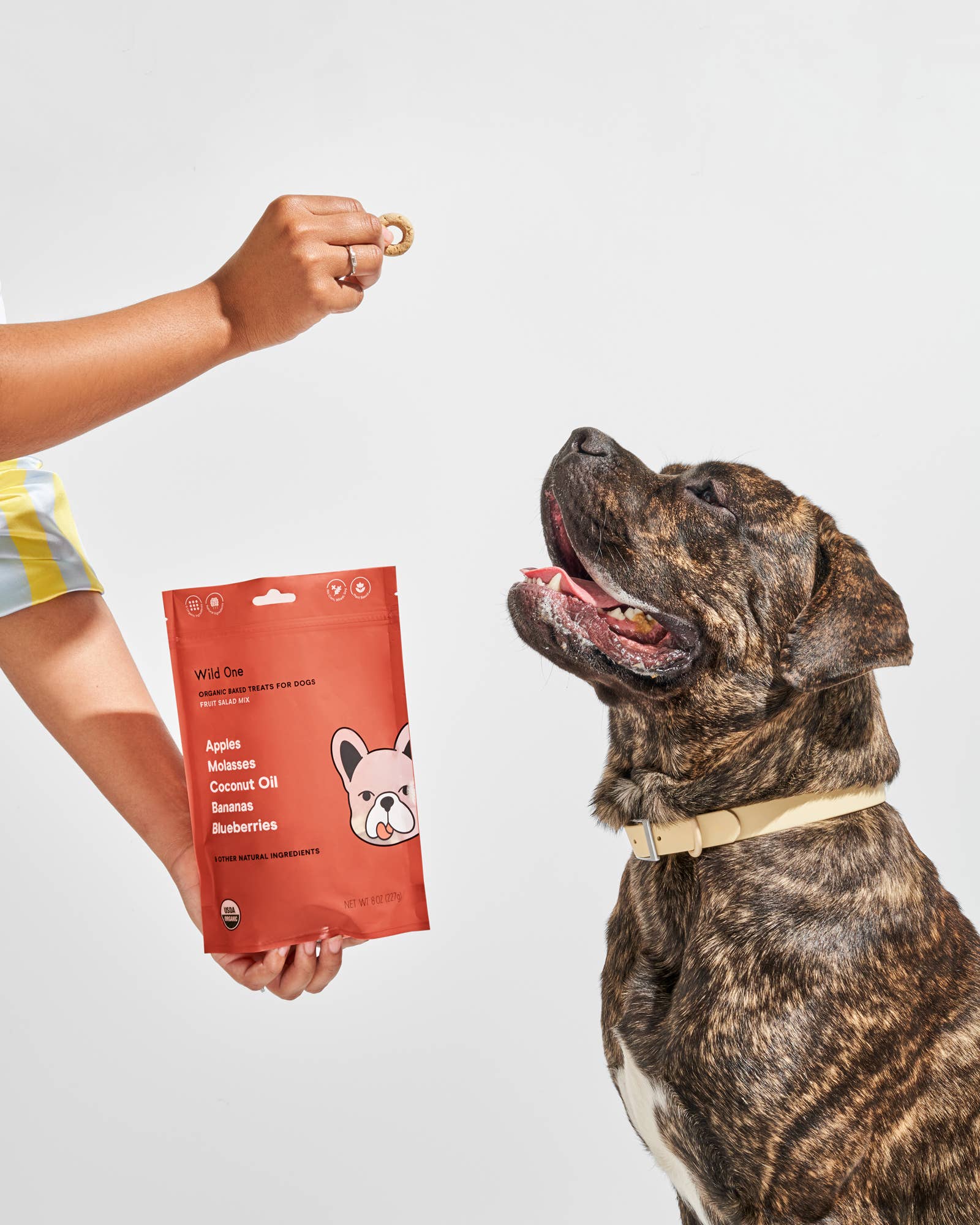 Image of Wild One - Organic Fruit Salad Vegan Baked Dog Treats