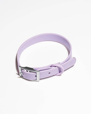 Wild One - Adjustable Waterproof Fashion Dog Collar