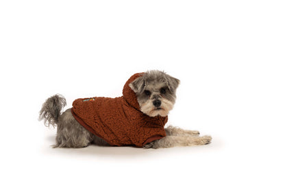 fabdog - Rust Sherpa Dog Hoodie: 20"