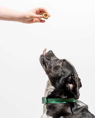 Wild One - Organic PB&J Vegan Baked Dog Treats