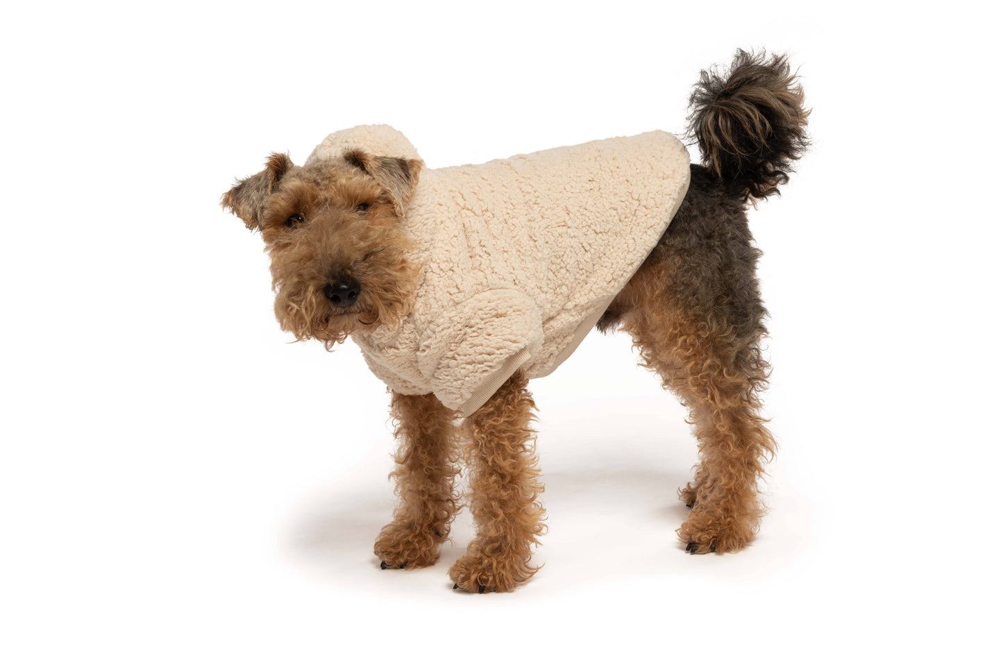fabdog - Cream Sherpa Dog Hoodie: 10"