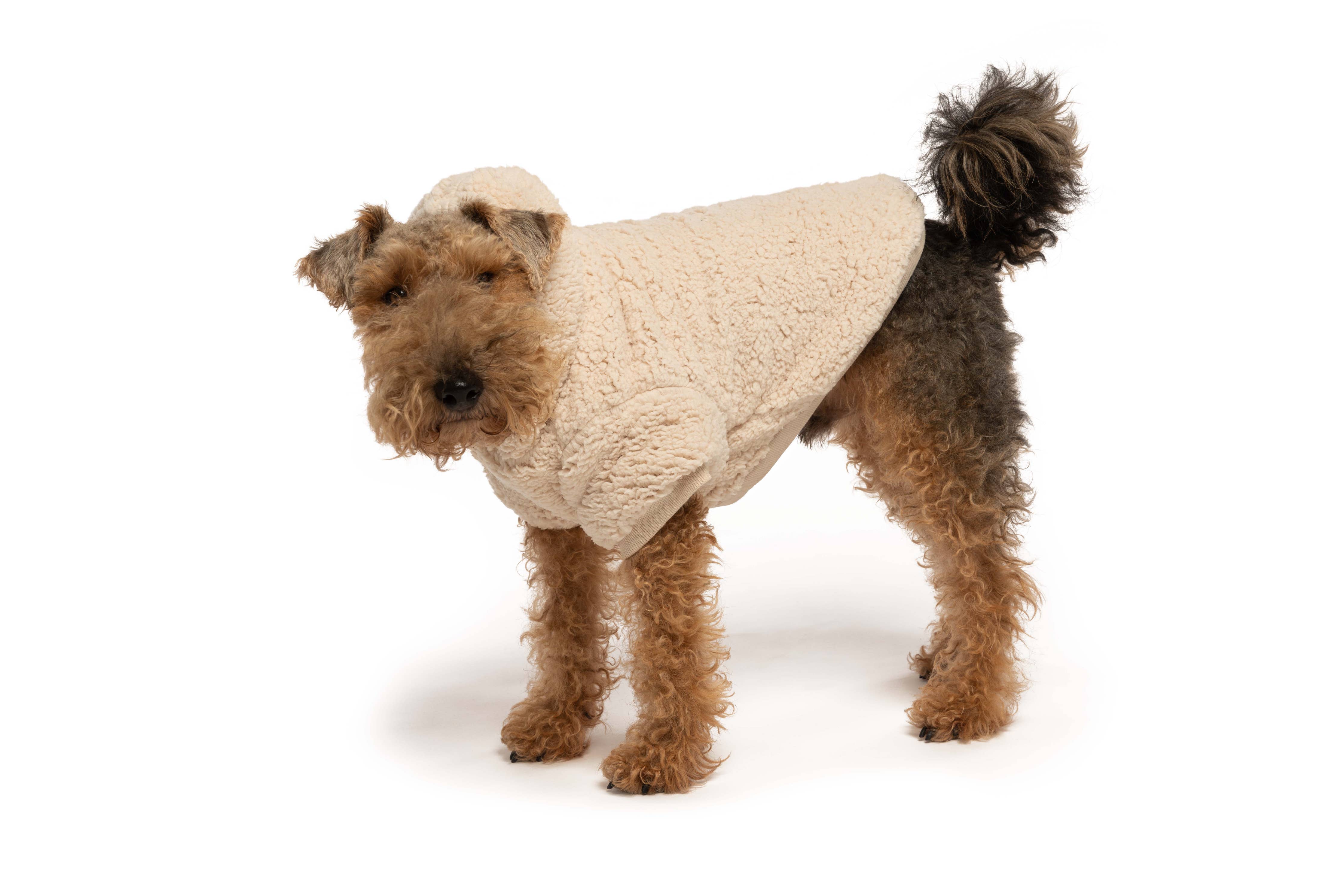 fabdog - Cream Sherpa Dog Hoodie: 14"