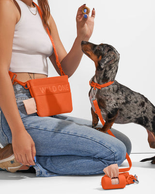 Wild One - Adjustable Waterproof Fashion Dog Collar
