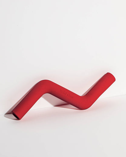 Wild One - Bolt Bite Dog Chew Toy