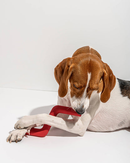 Wild One - Bolt Bite Dog Chew Toy