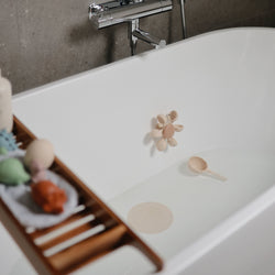 Image of Water Wheel Bath Toy