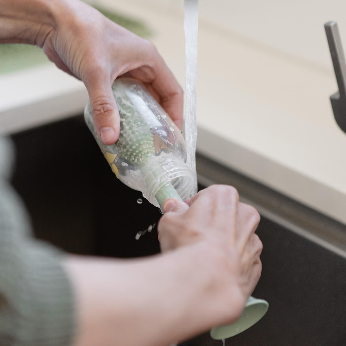 Image of Bottle Brush