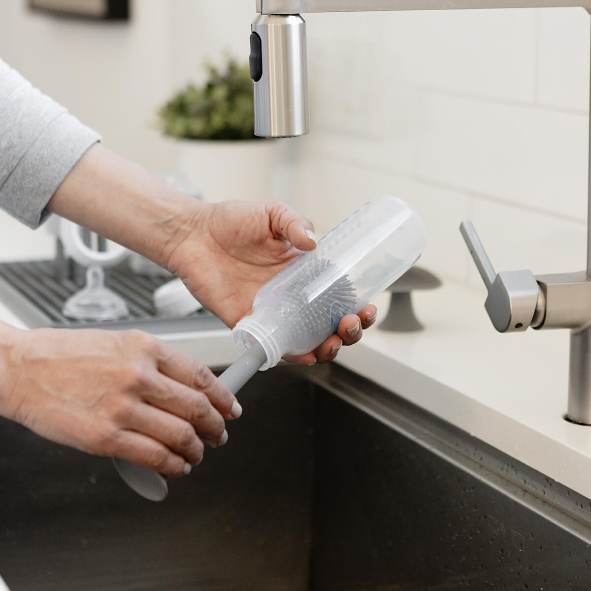 Image of Bottle Brush