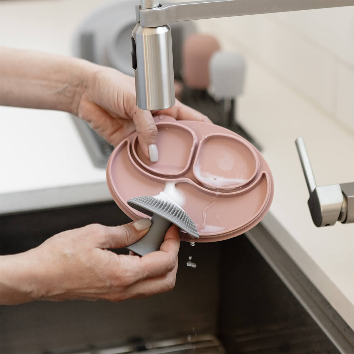 Image of Mushroom Sponge