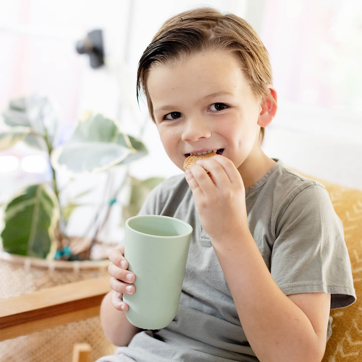 Image of 14oz Cup + Lid