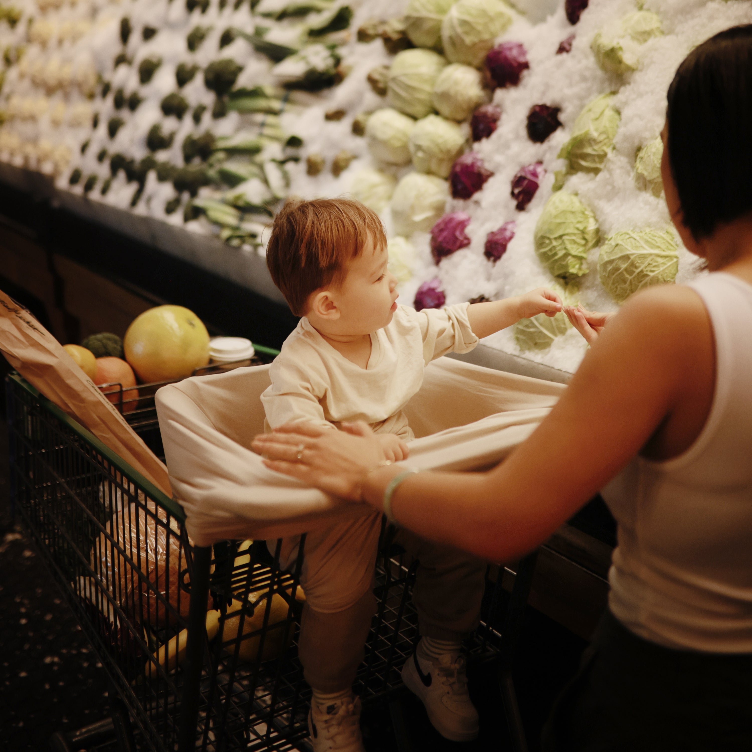 Image of Multi-Use Cover