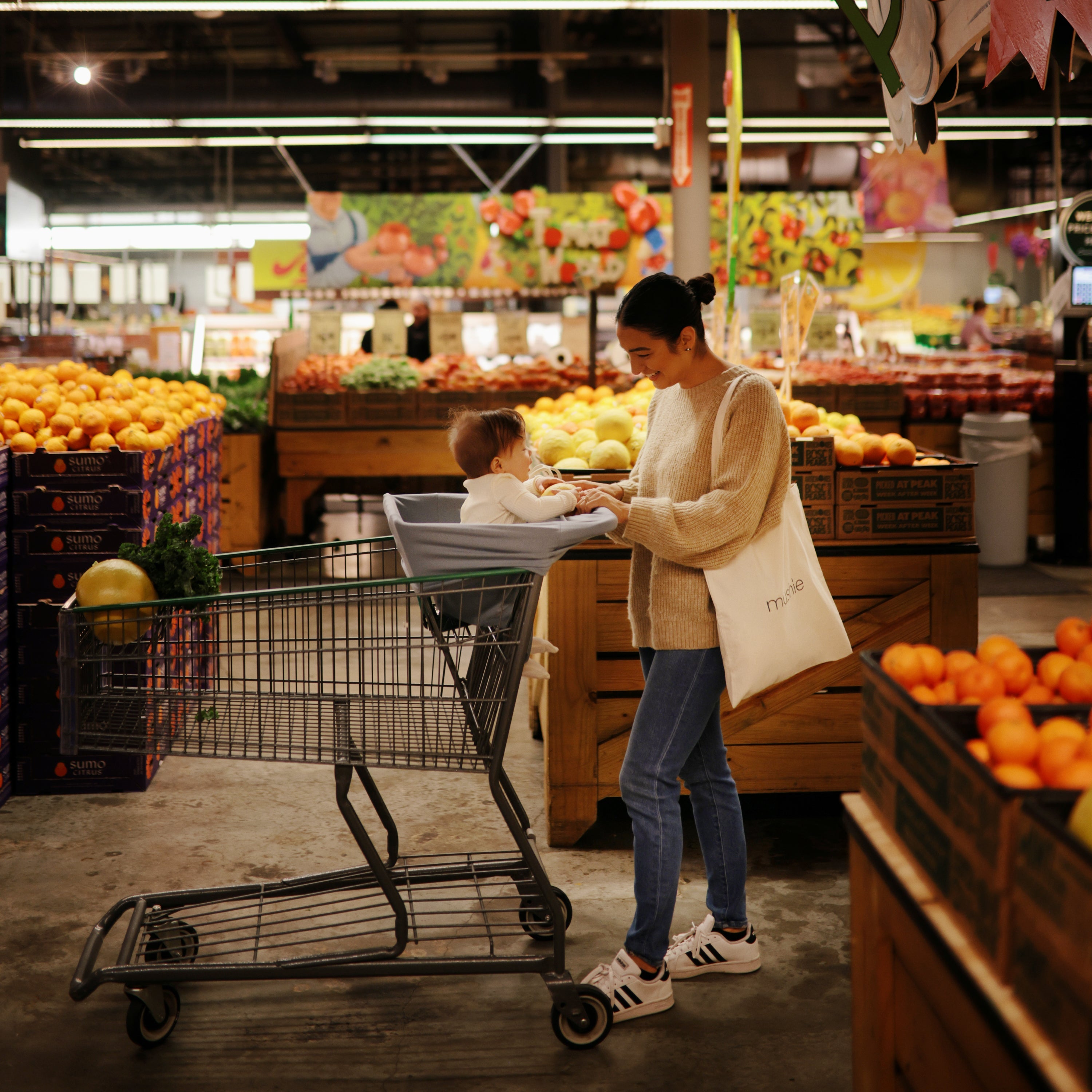 Image of Multi-Use Cover