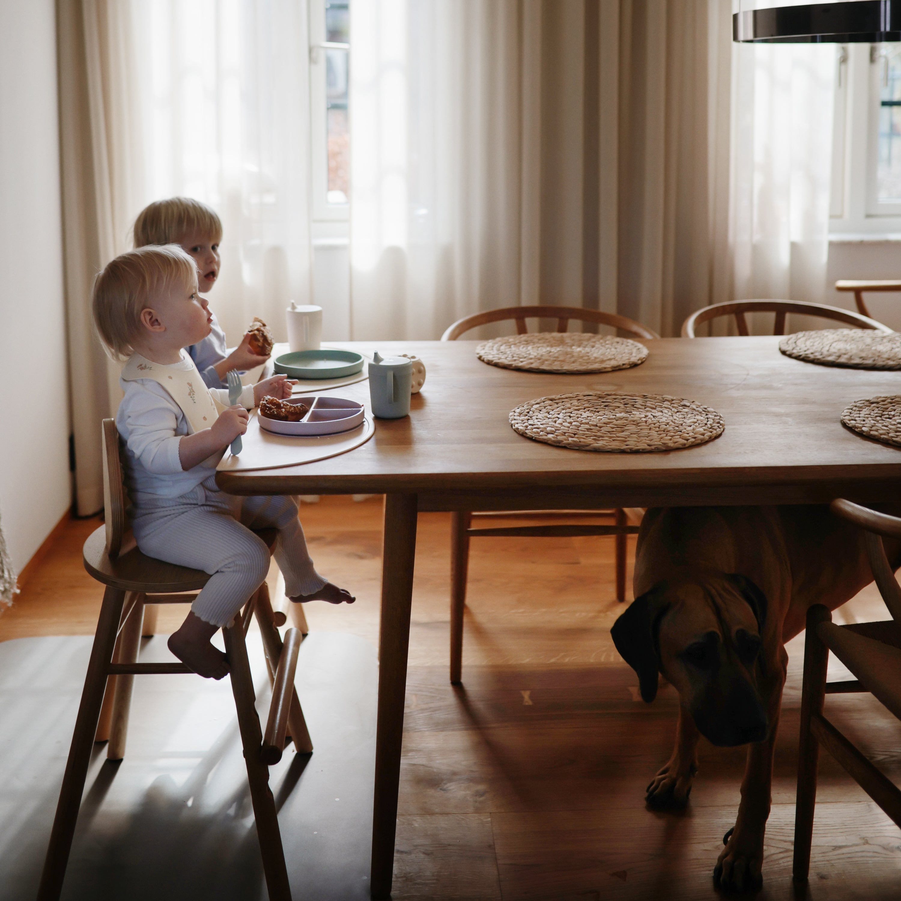 Image of Classic Silicone Suction Plate