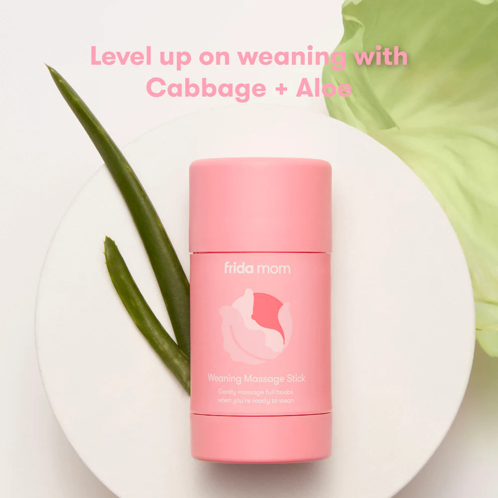 Image of Frida Weaning Massage Stick