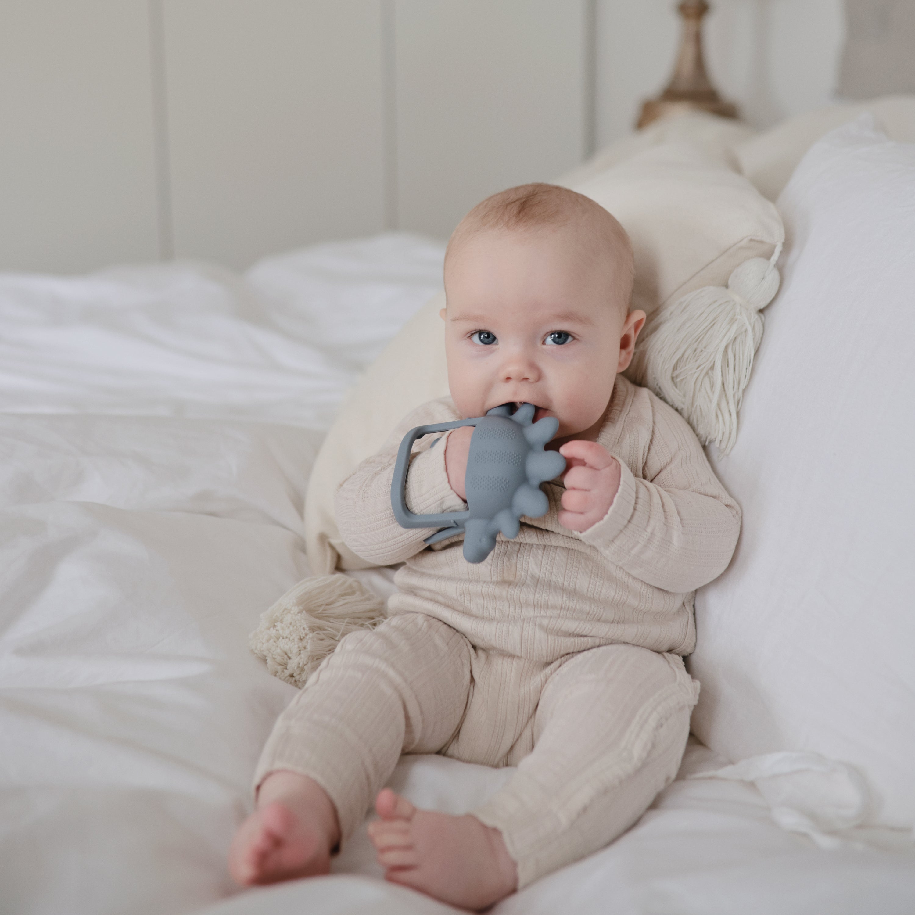 Image of No-Drop Dino Teether (Tradewinds)