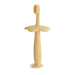 Image of Flower Training Toothbrush