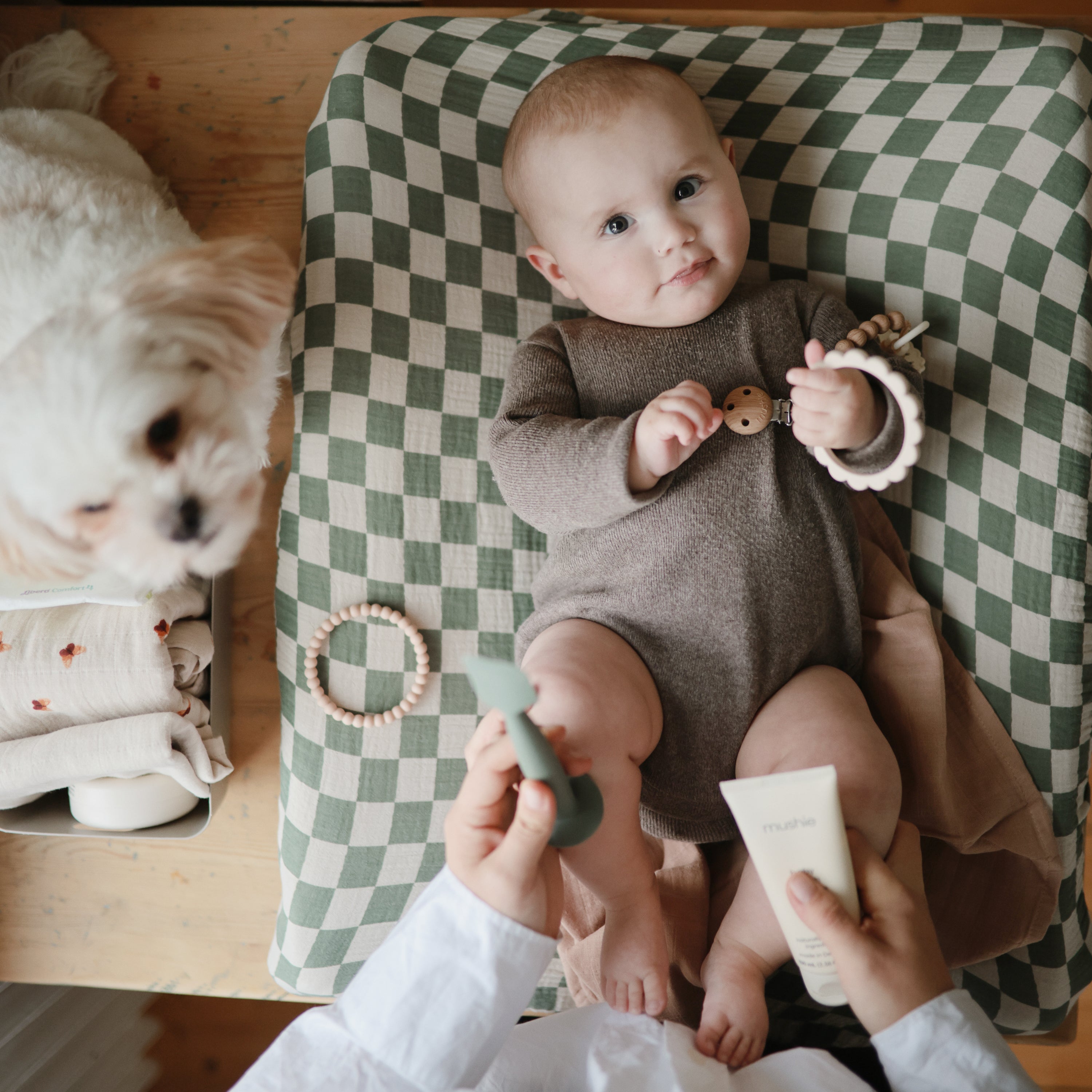 Image of Diaper Cream Applicator