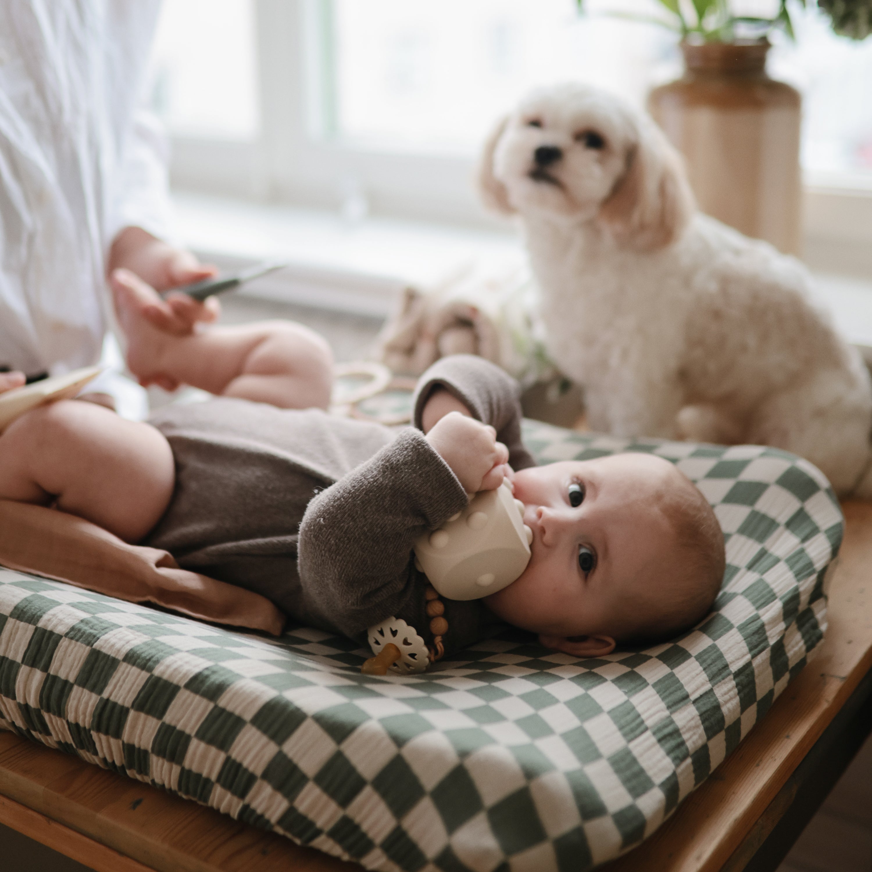 Image of Dice Press Toy 2-Pack