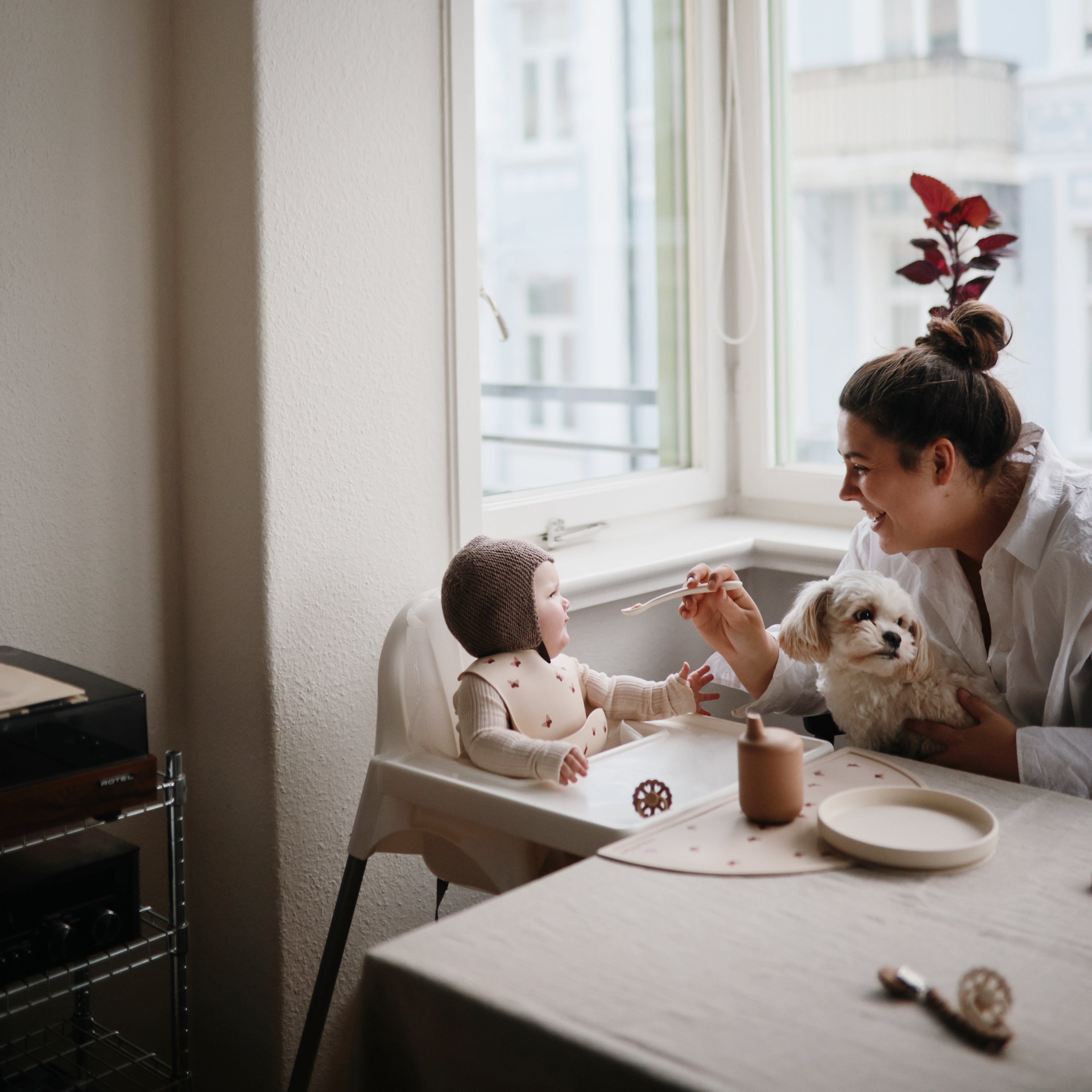 Image of Classic Silicone Suction Plate