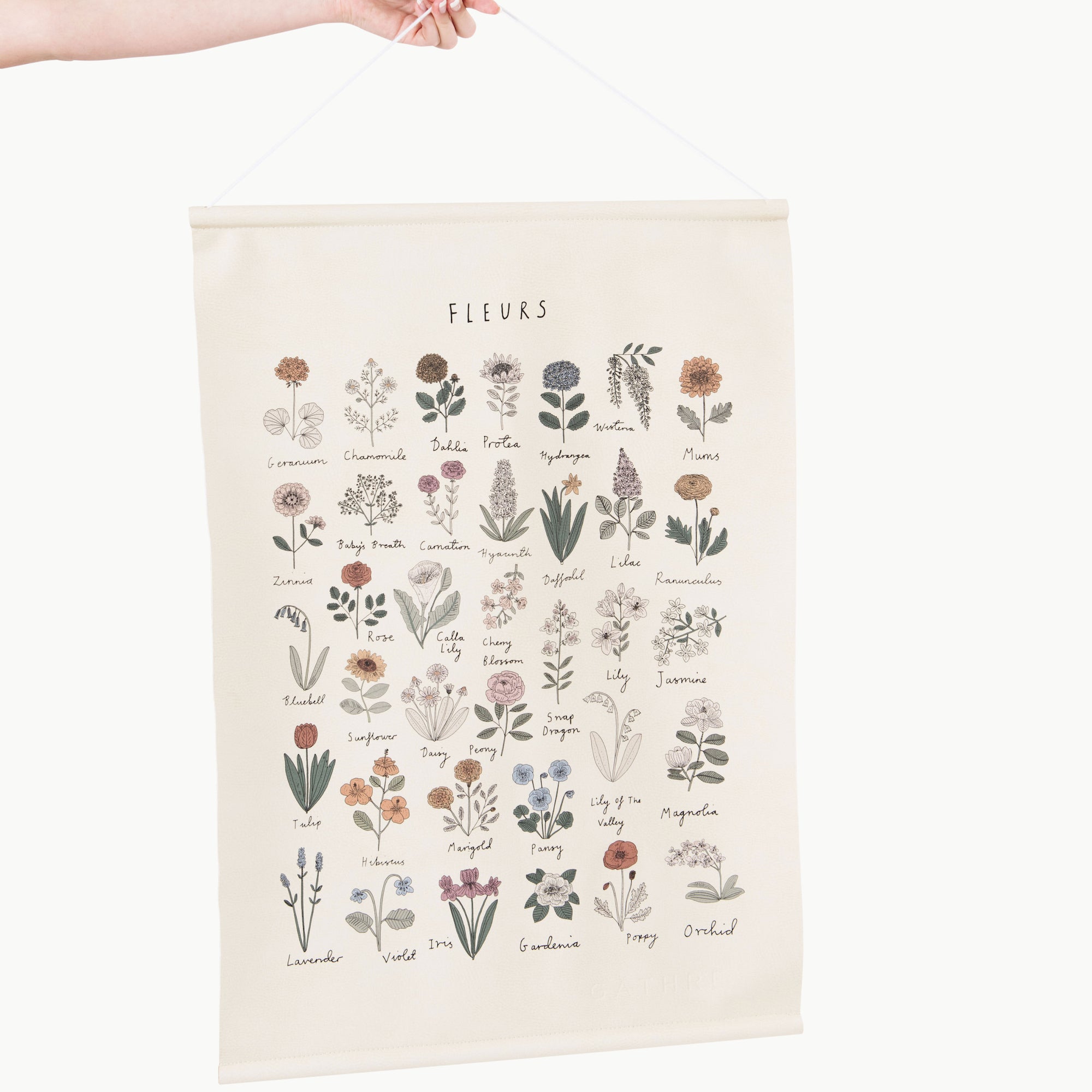 Image of Wholesale Poster