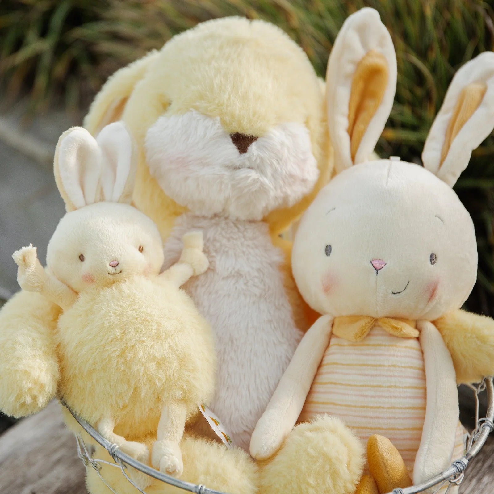 Bunnies By The Bay - Jelly Buns - Lemon