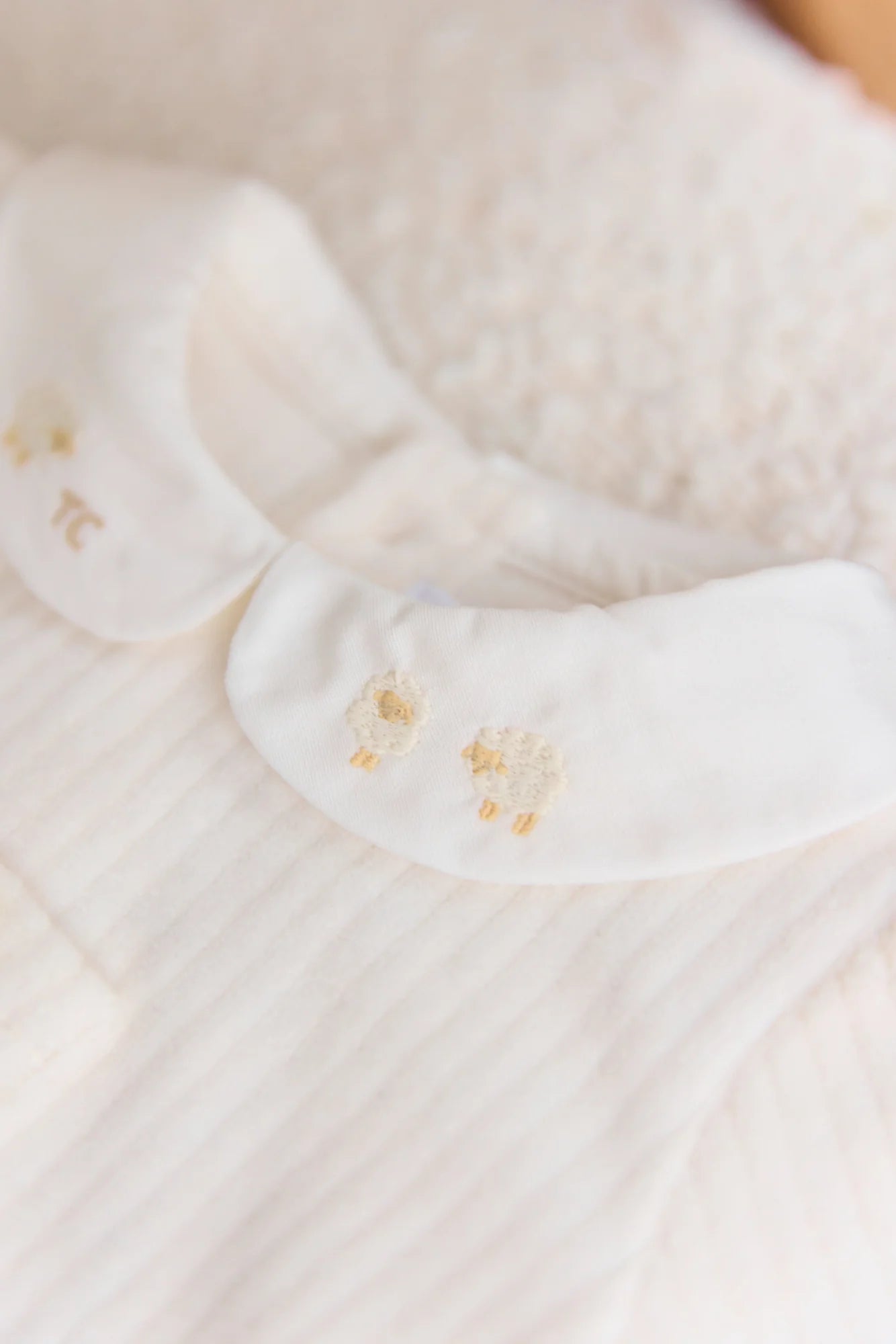 Image of Outfit Long Ecru Velvet