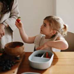 Image of Lunchbox