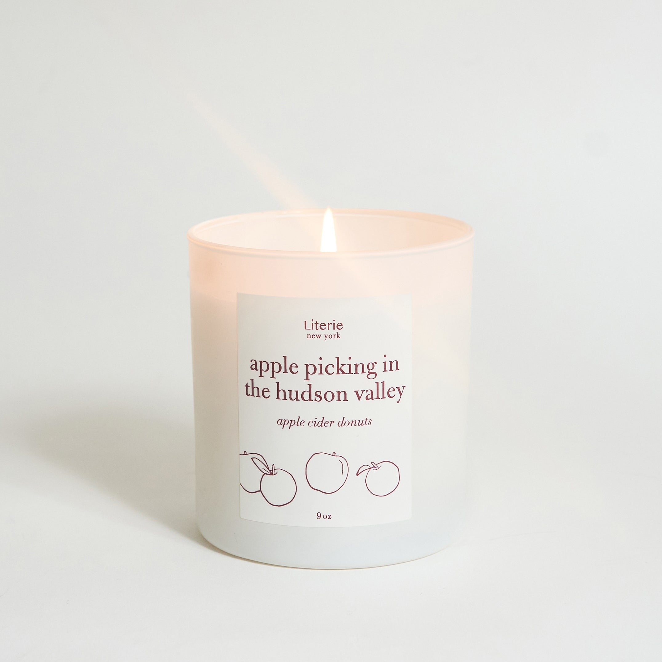 Image of Apple Picking in the Hudson Valley