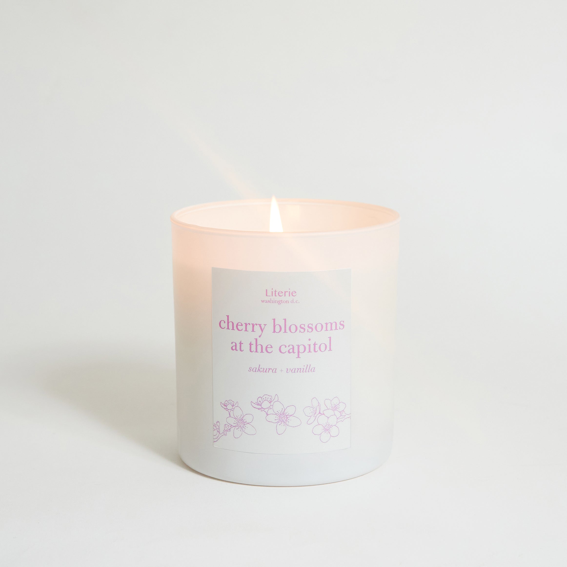 Image of Cherry Blossoms at the Capitol