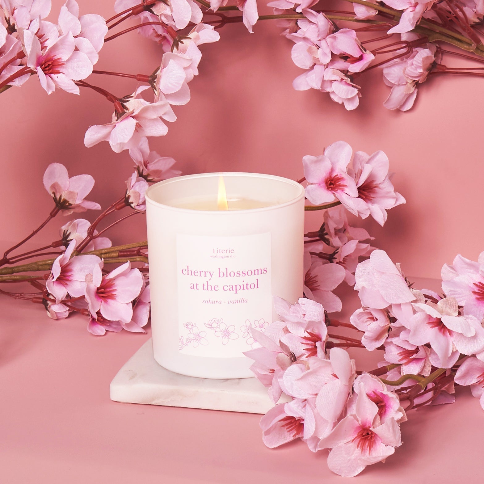 Image of Cherry Blossoms at the Capitol