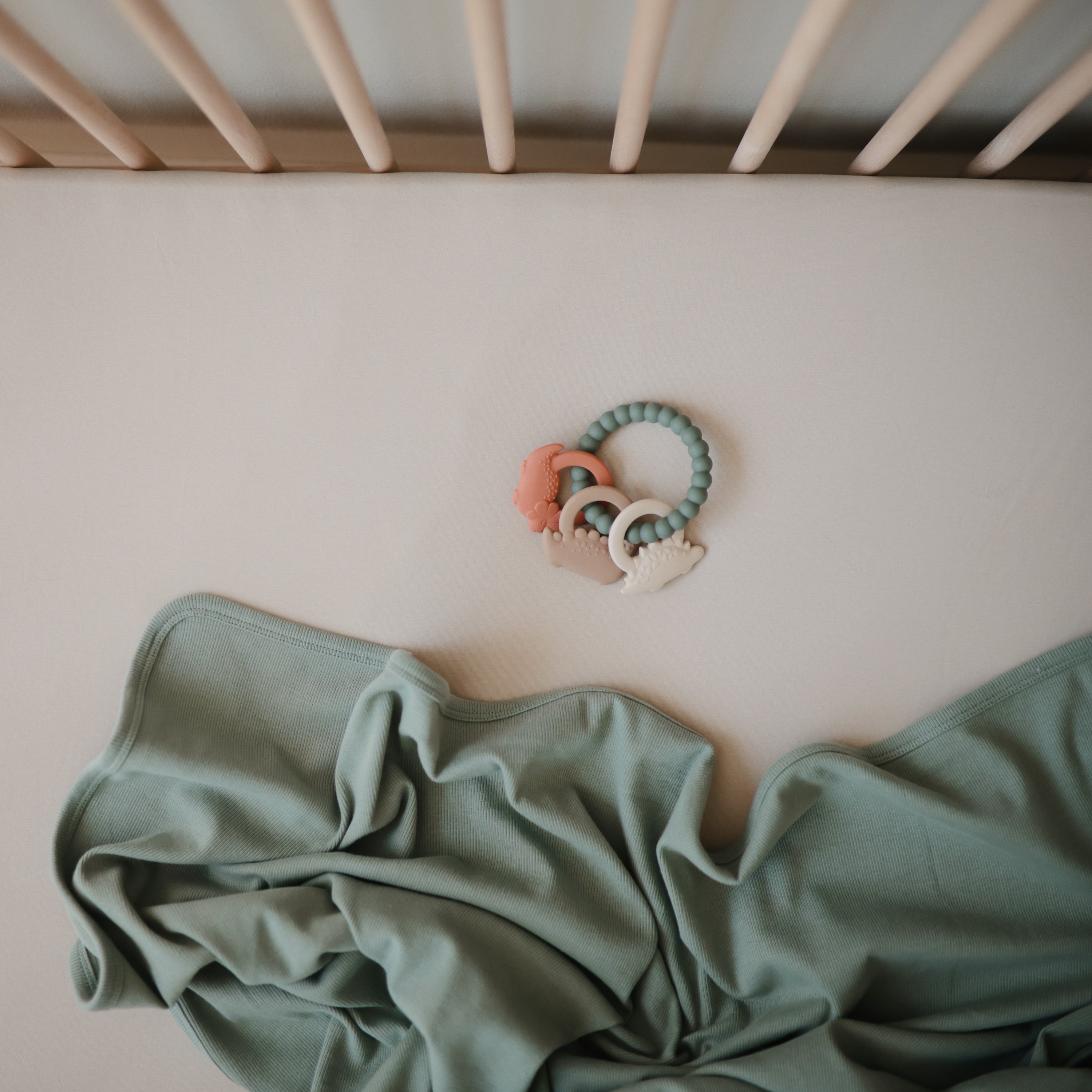 Image of Dino Teething Ring