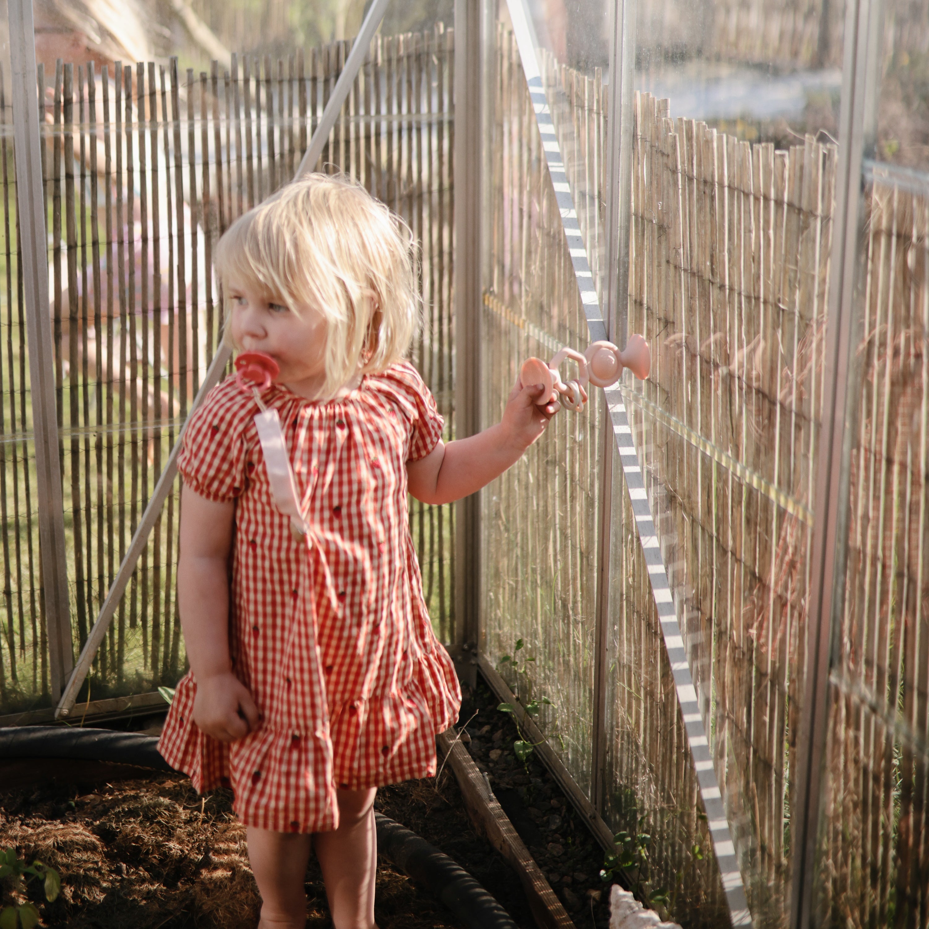 Image of HexaPop Suction Toy