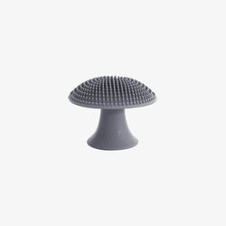 Image of Mushroom Sponge