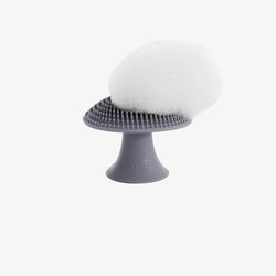 Image of Mushroom Sponge