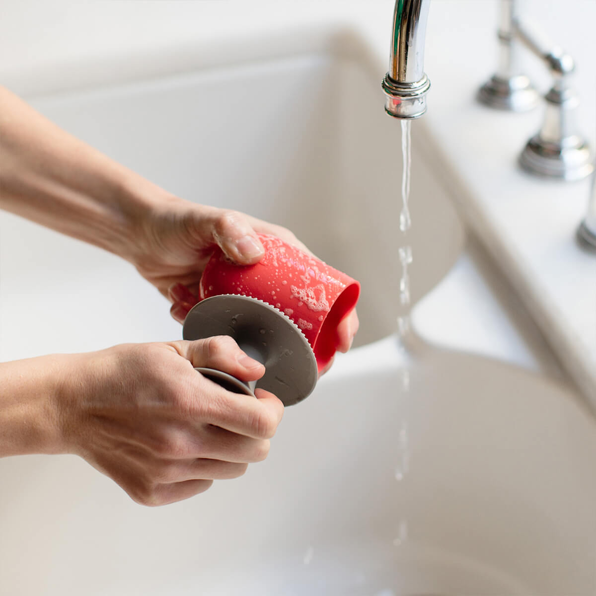 Image of Mushroom Sponge