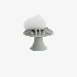 Image of Mushroom Sponge