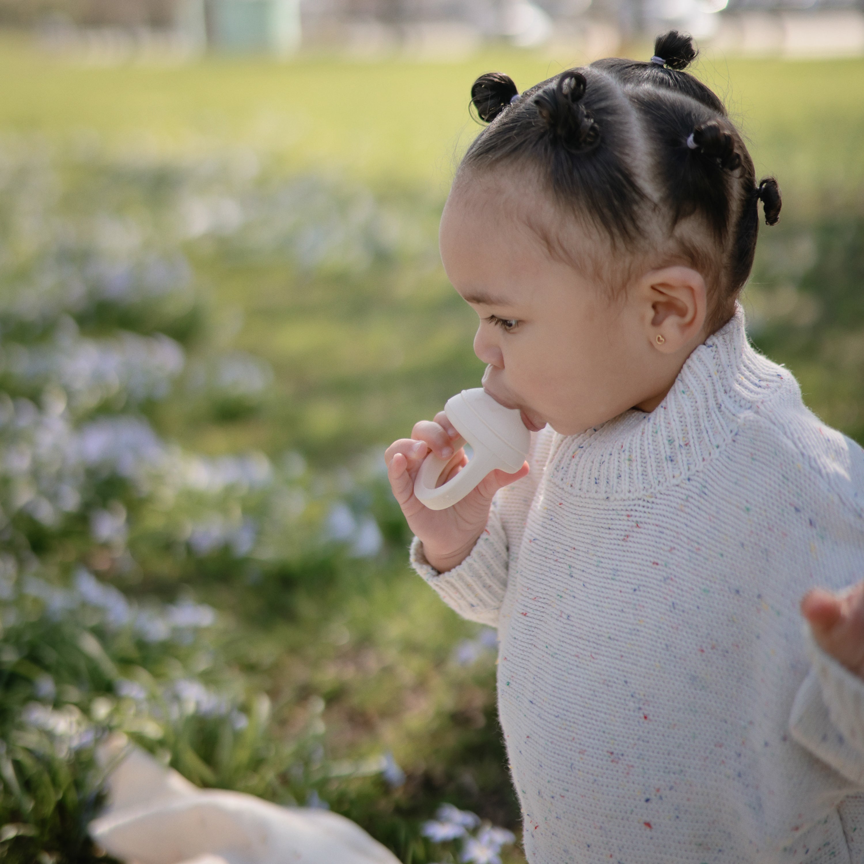 Image of Silicone Fresh Food Feeder 2-Pack